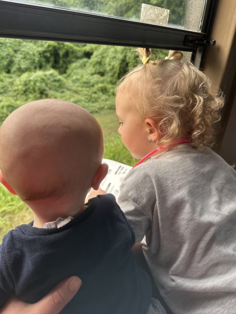 children looking out of train window
